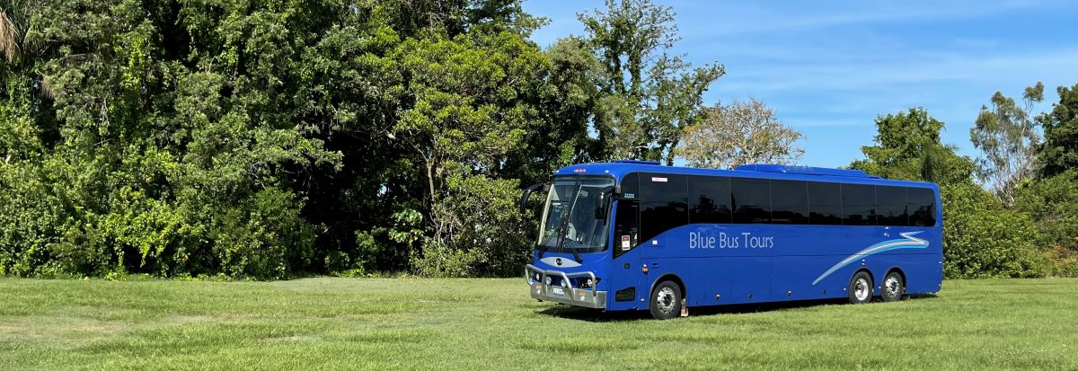 blue sky bus tours